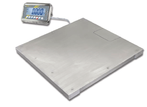 Floor Scale