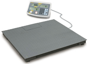 Floor Scale